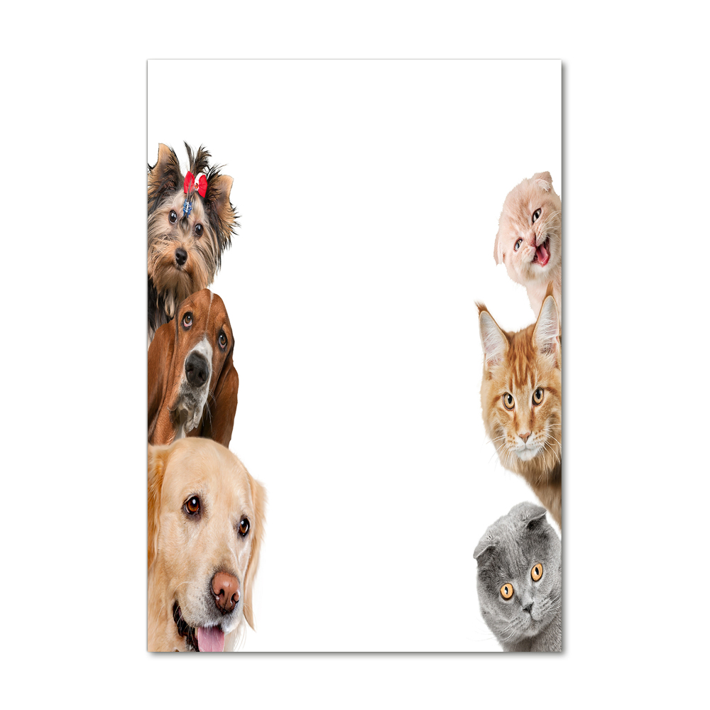 Tableau en verre Chiens et chats