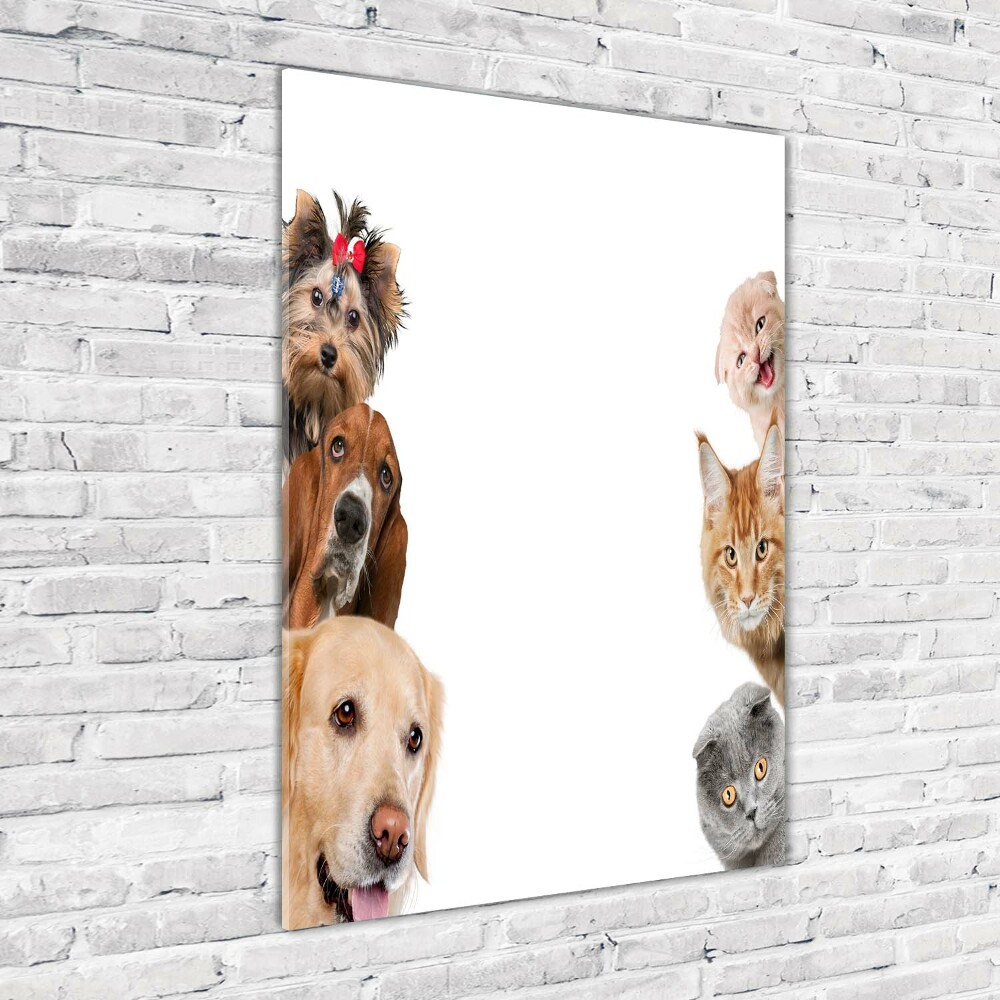 Tableau en verre Chiens et chats