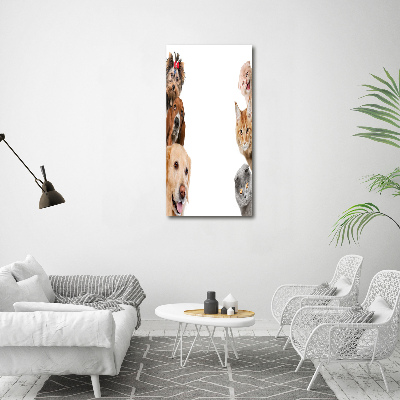 Tableau en verre Chiens et chats