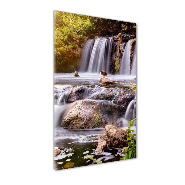 Cascade