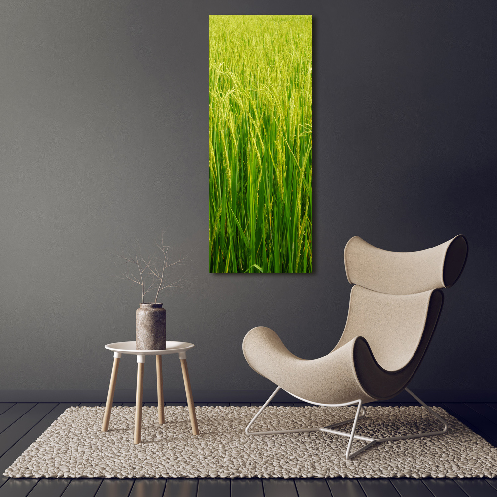 Tableau sur verre Plantation de riz