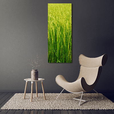 Tableau sur verre Plantation de riz