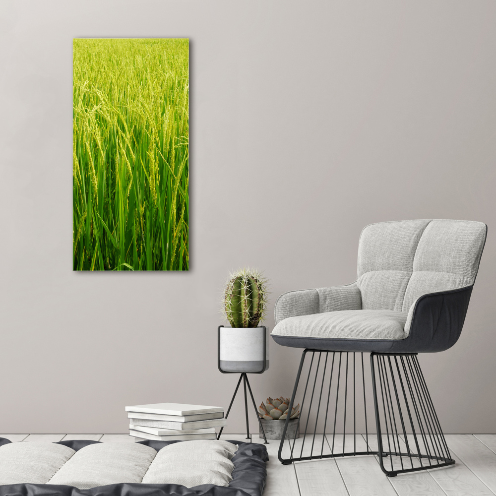 Tableau sur verre Plantation de riz