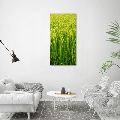 Tableau sur verre Plantation de riz