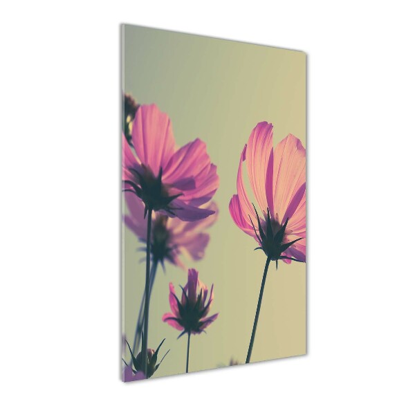 Fleurs roses