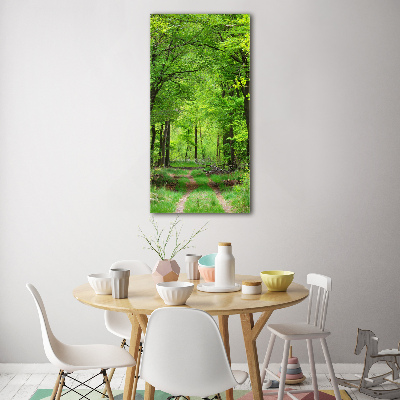 Tableau sur verre Forêt verte