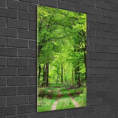 Tableau sur verre Forêt verte