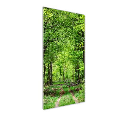 Tableau sur verre Forêt verte