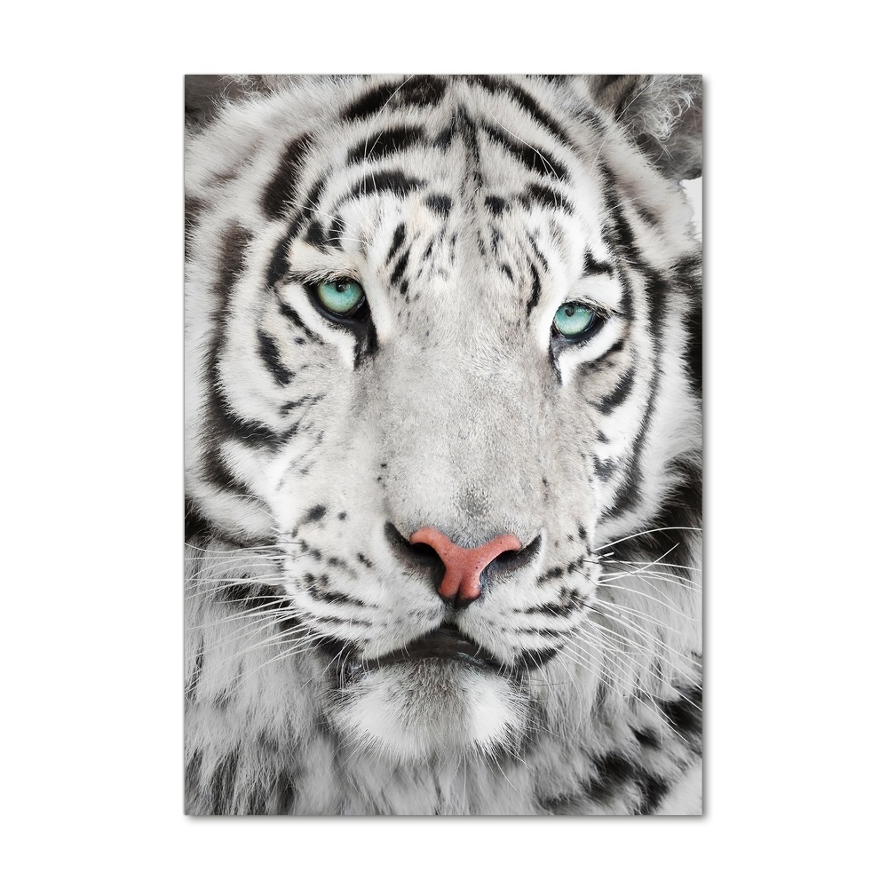 Tableau verre imprimé Tigre blanc