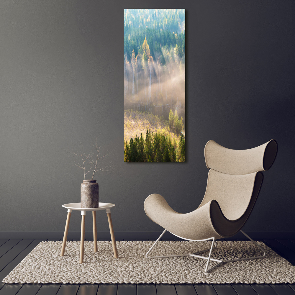 Tableau sur verre Brume sur la forêt