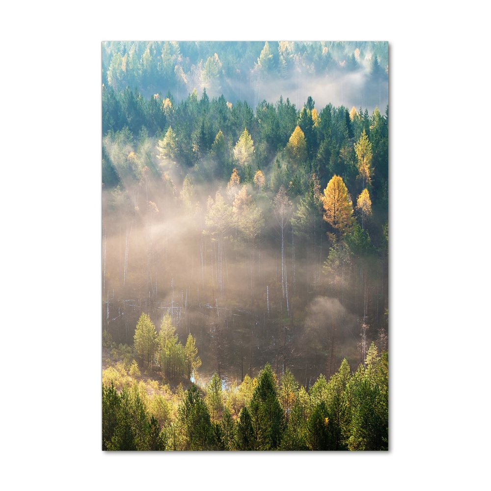 Tableau sur verre Brume sur la forêt