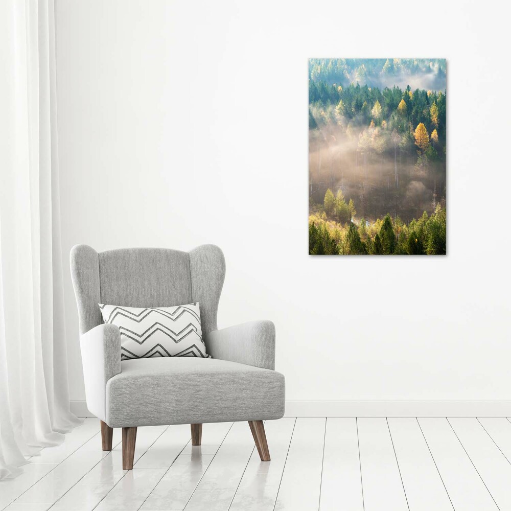 Tableau sur verre Brume sur la forêt