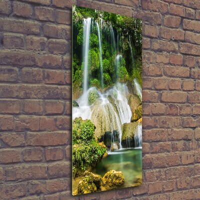 Tableau photo sur verre Cascade dans la jungle