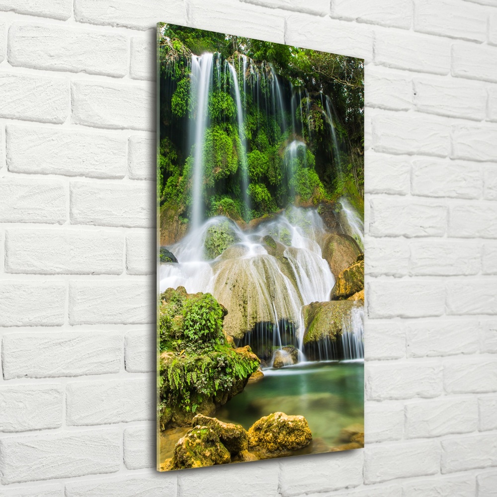 Tableau photo sur verre Cascade dans la jungle