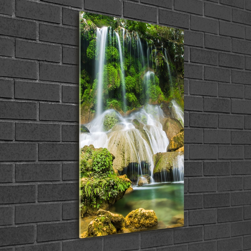 Tableau photo sur verre Cascade dans la jungle