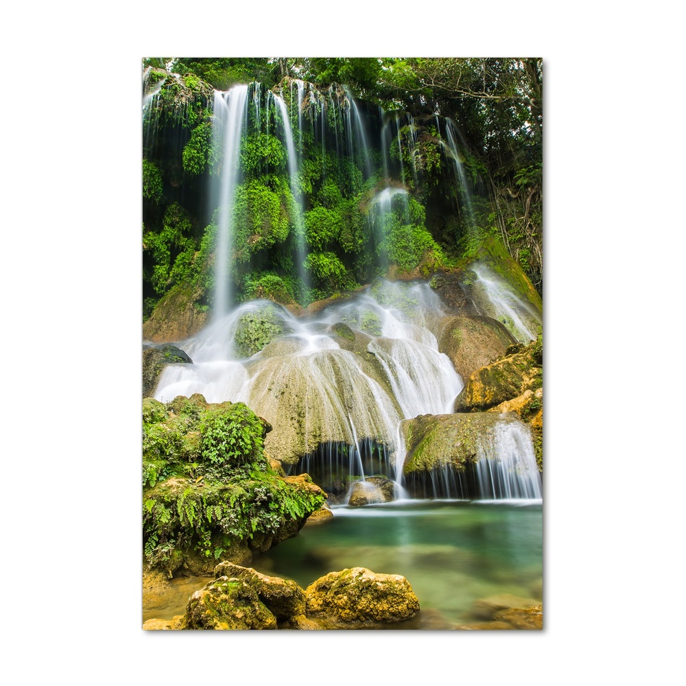 Tableau photo sur verre Cascade dans la jungle