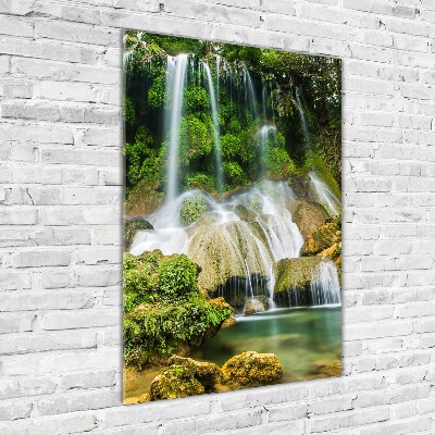 Tableau photo sur verre Cascade dans la jungle