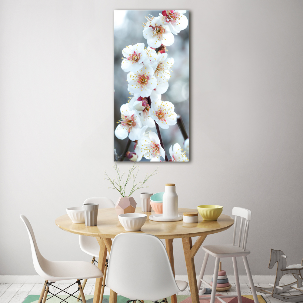 Tableau photo sur verre Fleurs de cerisier