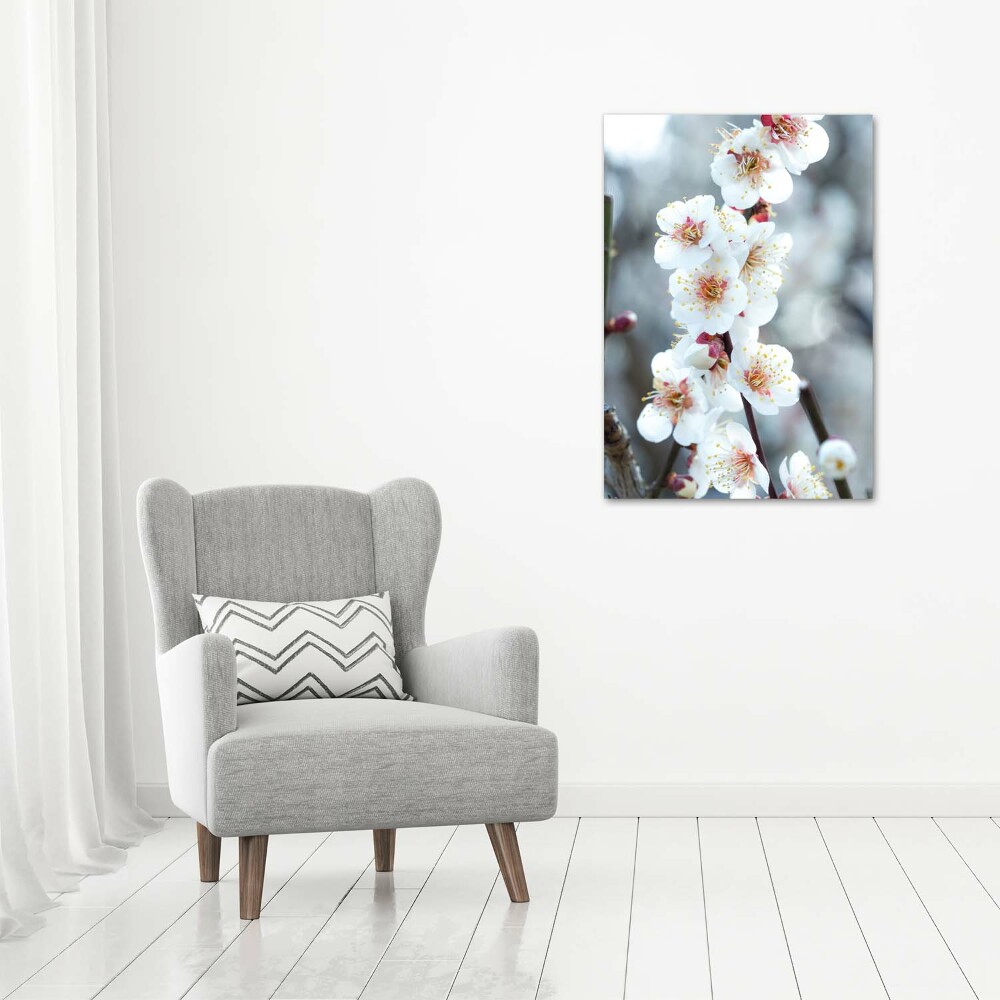 Tableau photo sur verre Fleurs de cerisier