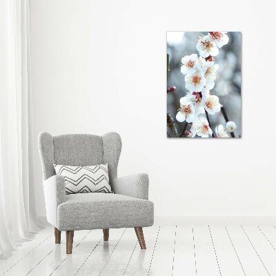 Tableau photo sur verre Fleurs de cerisier