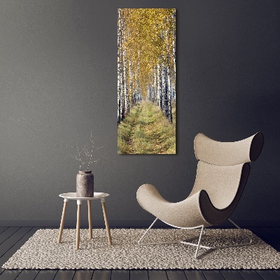 Tableau sur verre Forêt bouleau