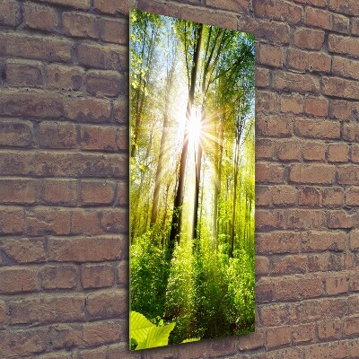 Tableau en verre Soleil dans la forêt