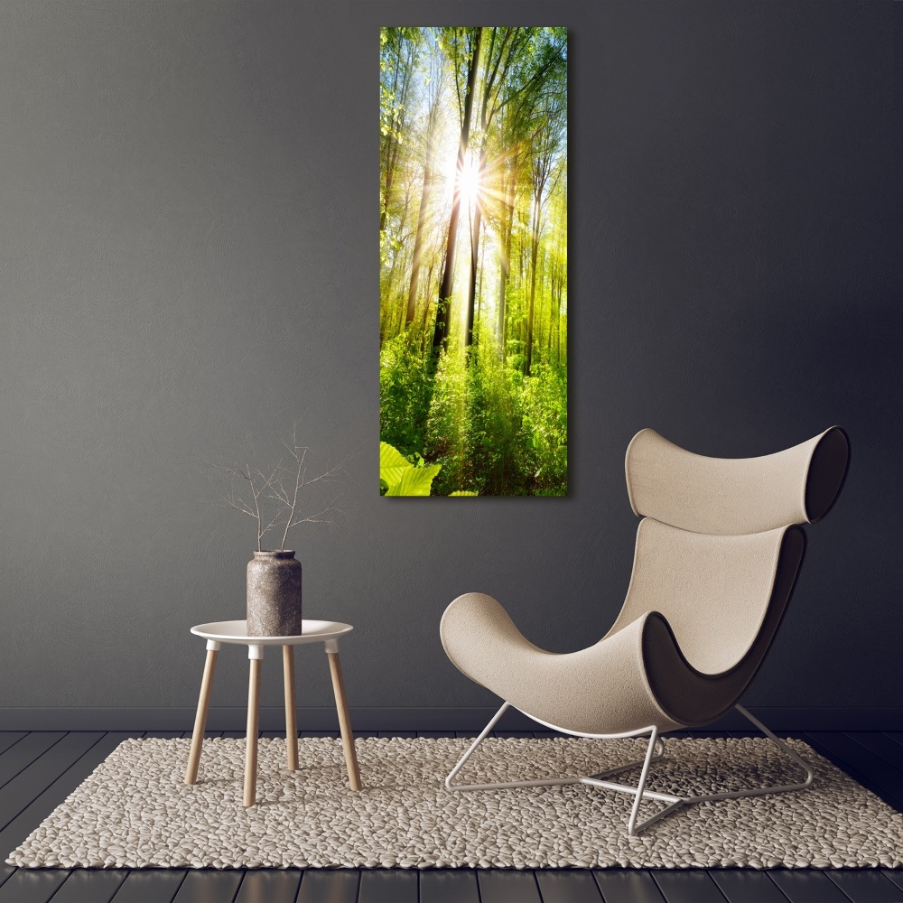 Tableau en verre Soleil dans la forêt