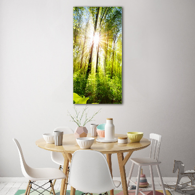 Tableau en verre Soleil dans la forêt