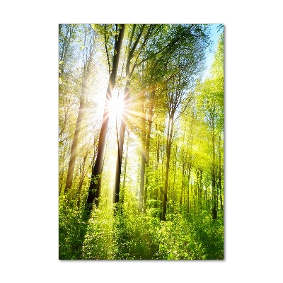 Tableau en verre Soleil dans la forêt