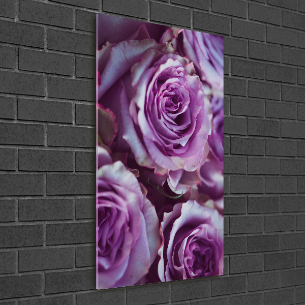 Tableau sur verre Roses violettes