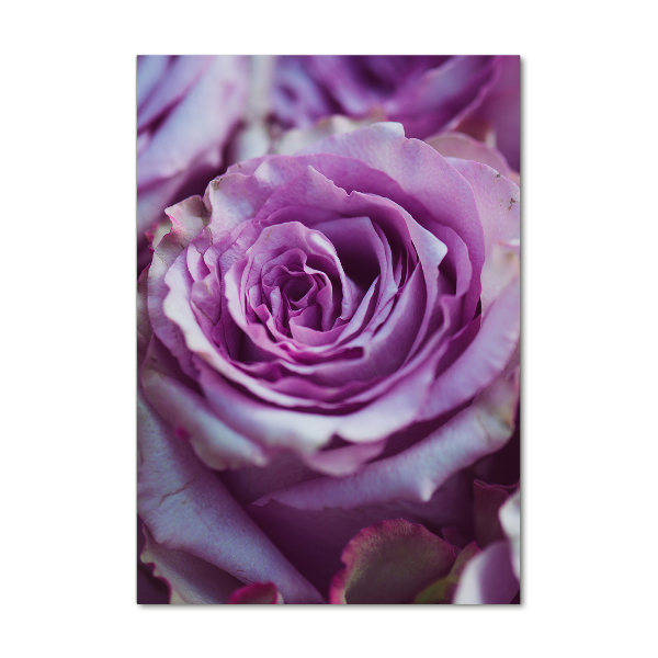 Tableau sur verre Roses violettes