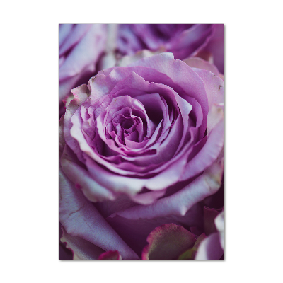Tableau sur verre Roses violettes