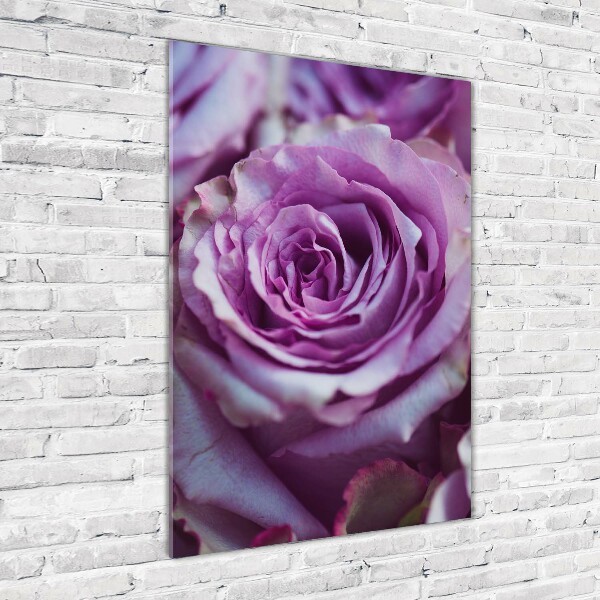 Tableau sur verre Roses violettes