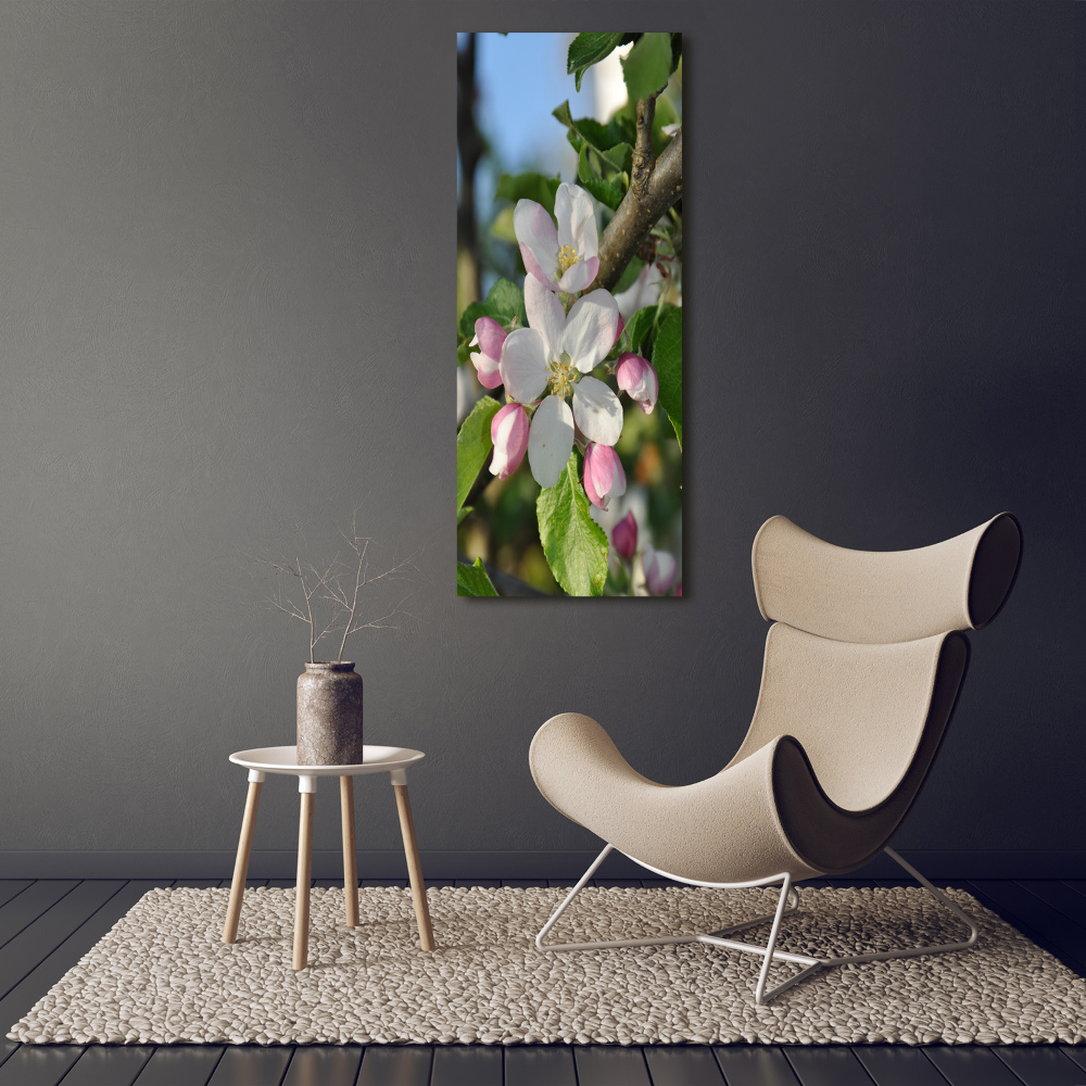 Tableau en verre Fleurs de cerisier