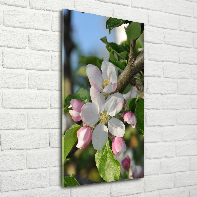 Tableau en verre Fleurs de cerisier