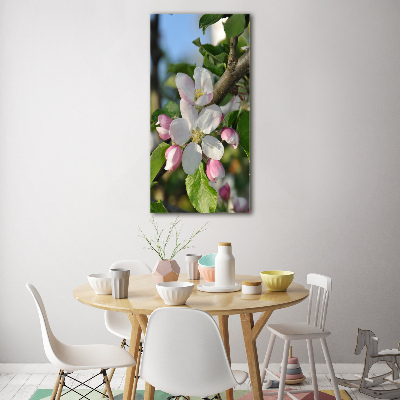 Tableau en verre Fleurs de cerisier