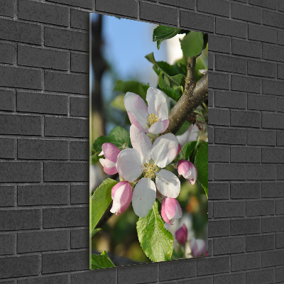 Tableau en verre Fleurs de cerisier