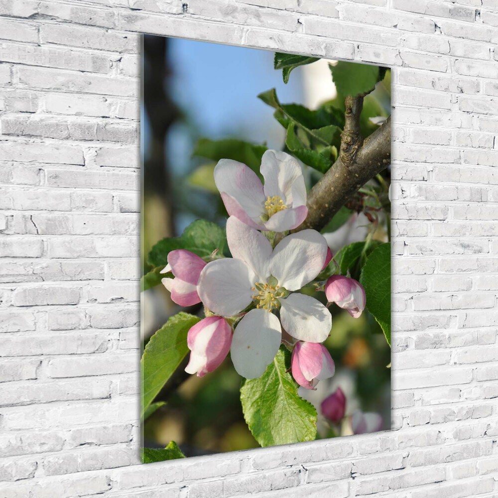 Tableau en verre Fleurs de cerisier