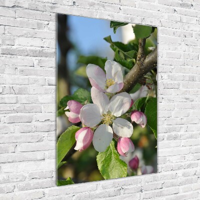 Tableau en verre Fleurs de cerisier