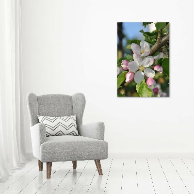 Tableau en verre Fleurs de cerisier