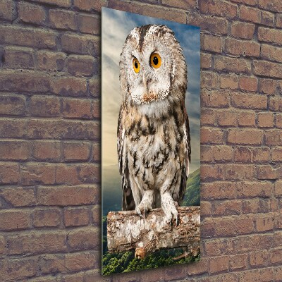 Tableau imprimé sur verre Hibou sur une colline