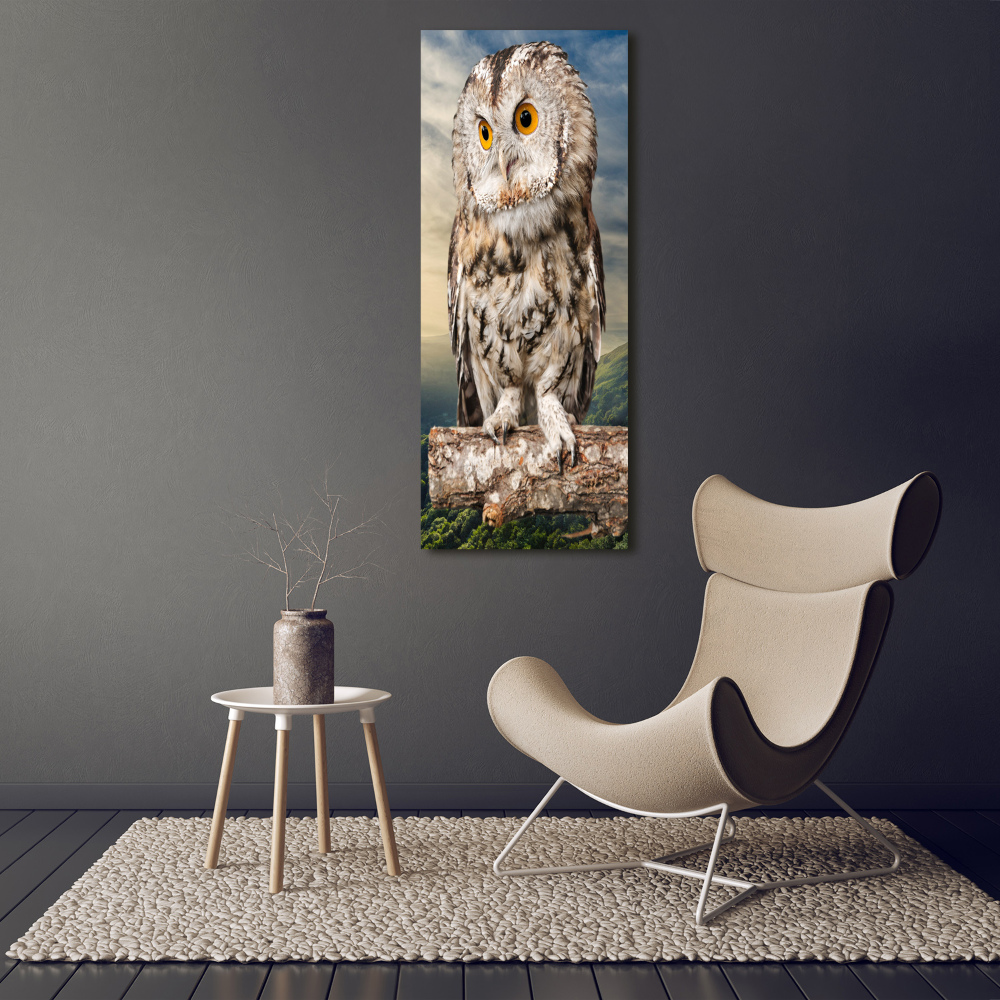 Tableau imprimé sur verre Hibou sur une colline