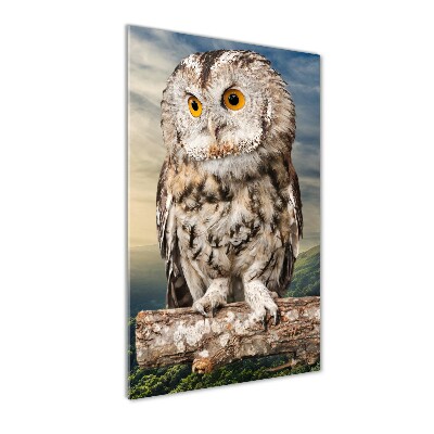 Tableau imprimé sur verre Hibou sur une colline