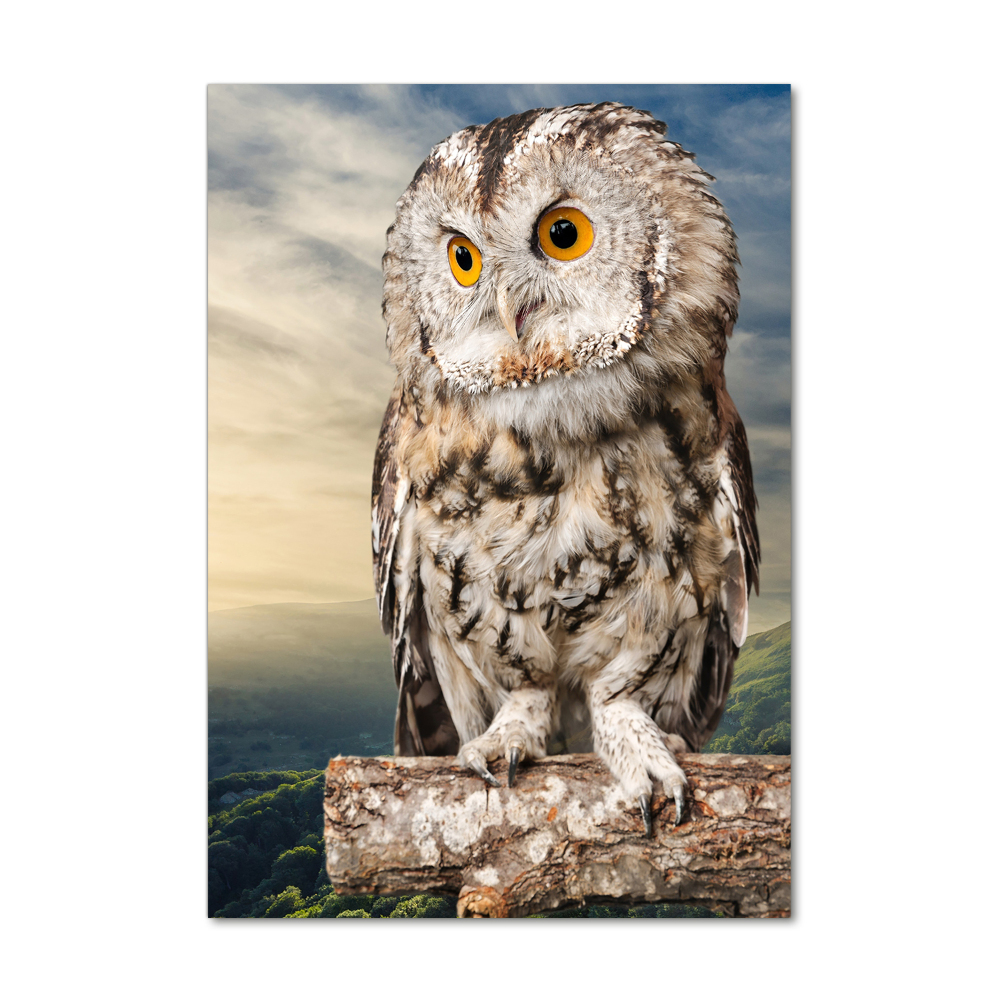 Tableau imprimé sur verre Hibou sur une colline