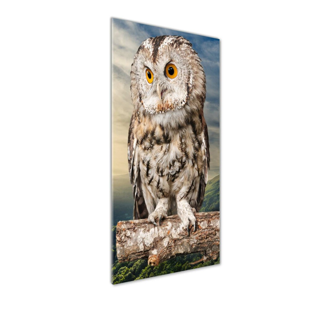 Tableau imprimé sur verre Hibou sur une colline