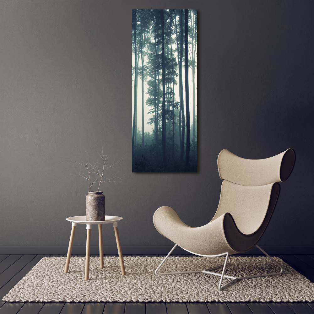 Tableau sur verre Brume dans la forêt