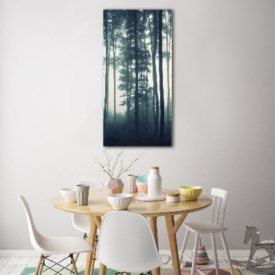 Tableau sur verre Brume dans la forêt