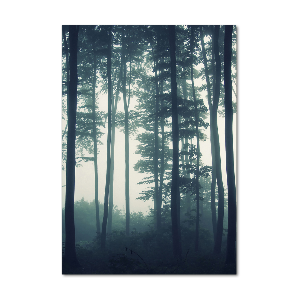 Tableau sur verre Brume dans la forêt