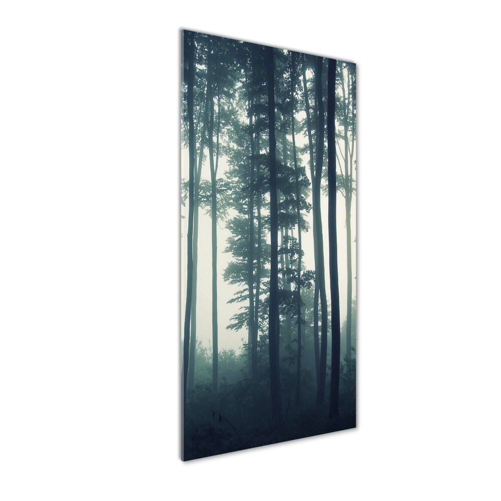 Tableau sur verre Brume dans la forêt