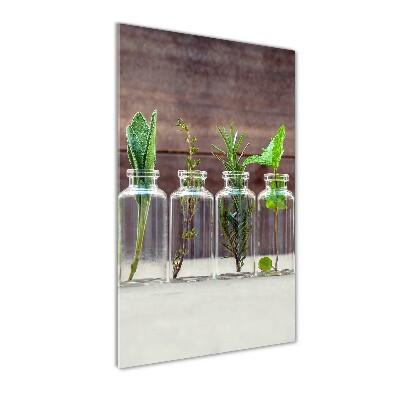 Tableau en verre Herbes en pots